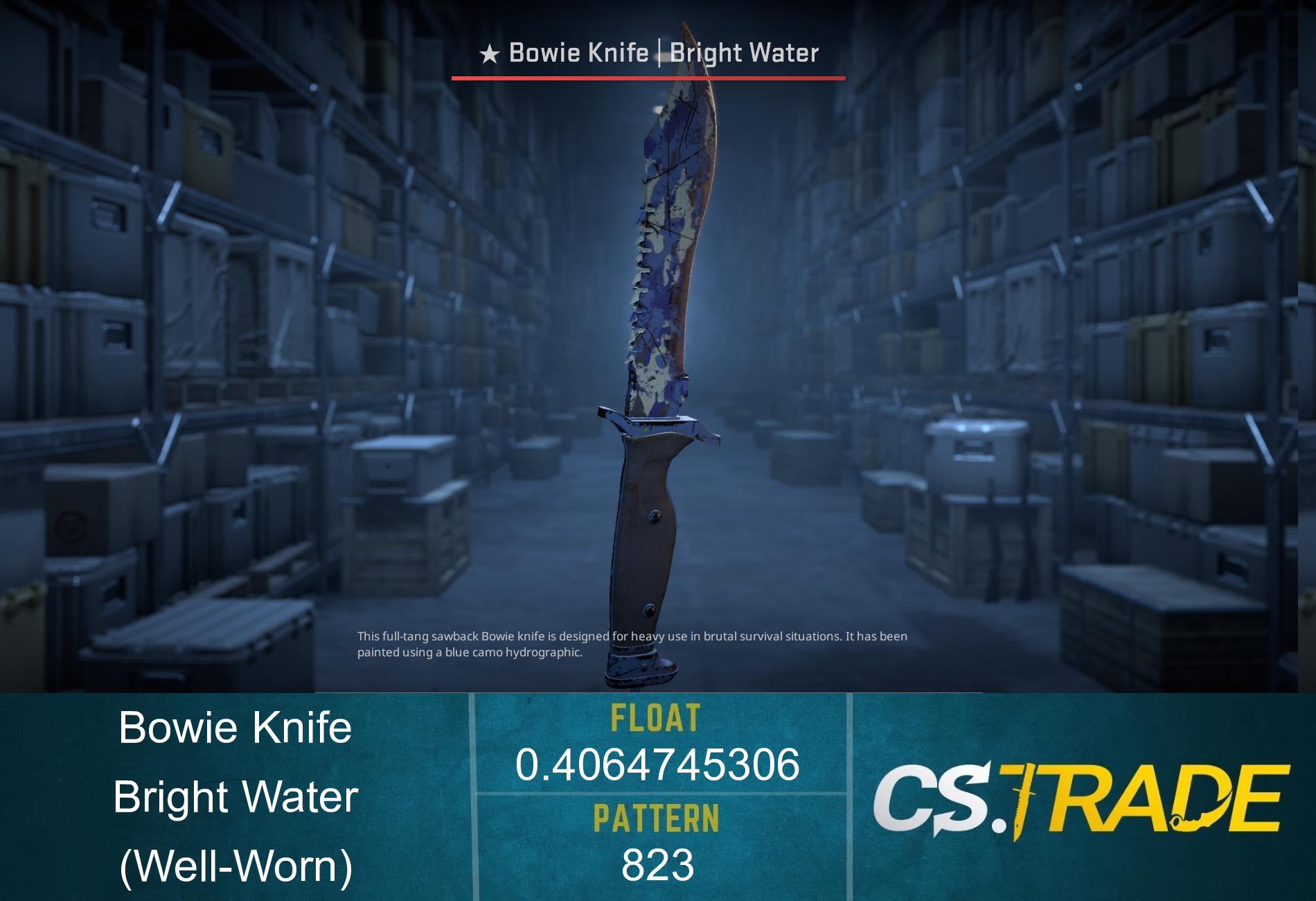 ★ Bowie Knife | Bright Water (Well-Worn) Screenshot