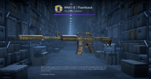 M4A1-S | Flashback (Factory New) Screenshot