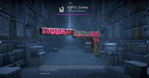 USP-S | Cortex (Minimal Wear) Screenshot