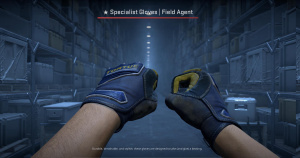 ★ Specialist Gloves | Field Agent (Battle-Scarred) Screenshot