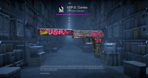 USP-S | Cortex (Well-Worn) Screenshot
