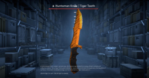 ★ Huntsman Knife | Tiger Tooth (Factory New) Screenshot