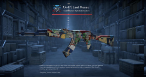 AK-47 | Leet Museo (Field-Tested) Screenshot