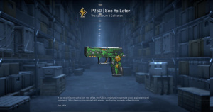 P250 | See Ya Later (Field-Tested) Screenshot