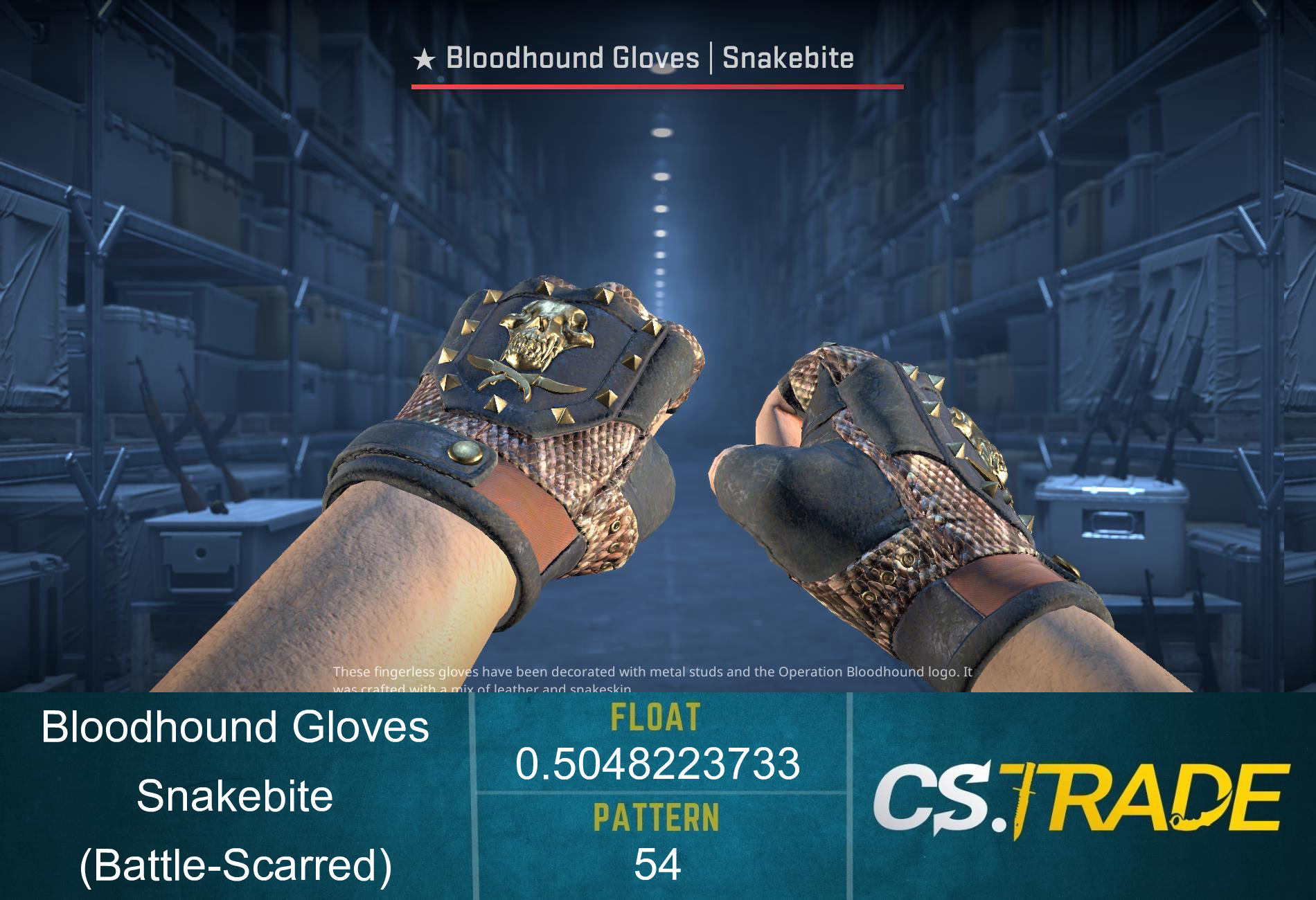 ★ Bloodhound Gloves | Snakebite (Battle-Scarred) Screenshot