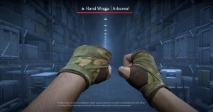 ★ Hand Wraps | Arboreal (Battle-Scarred) Screenshot