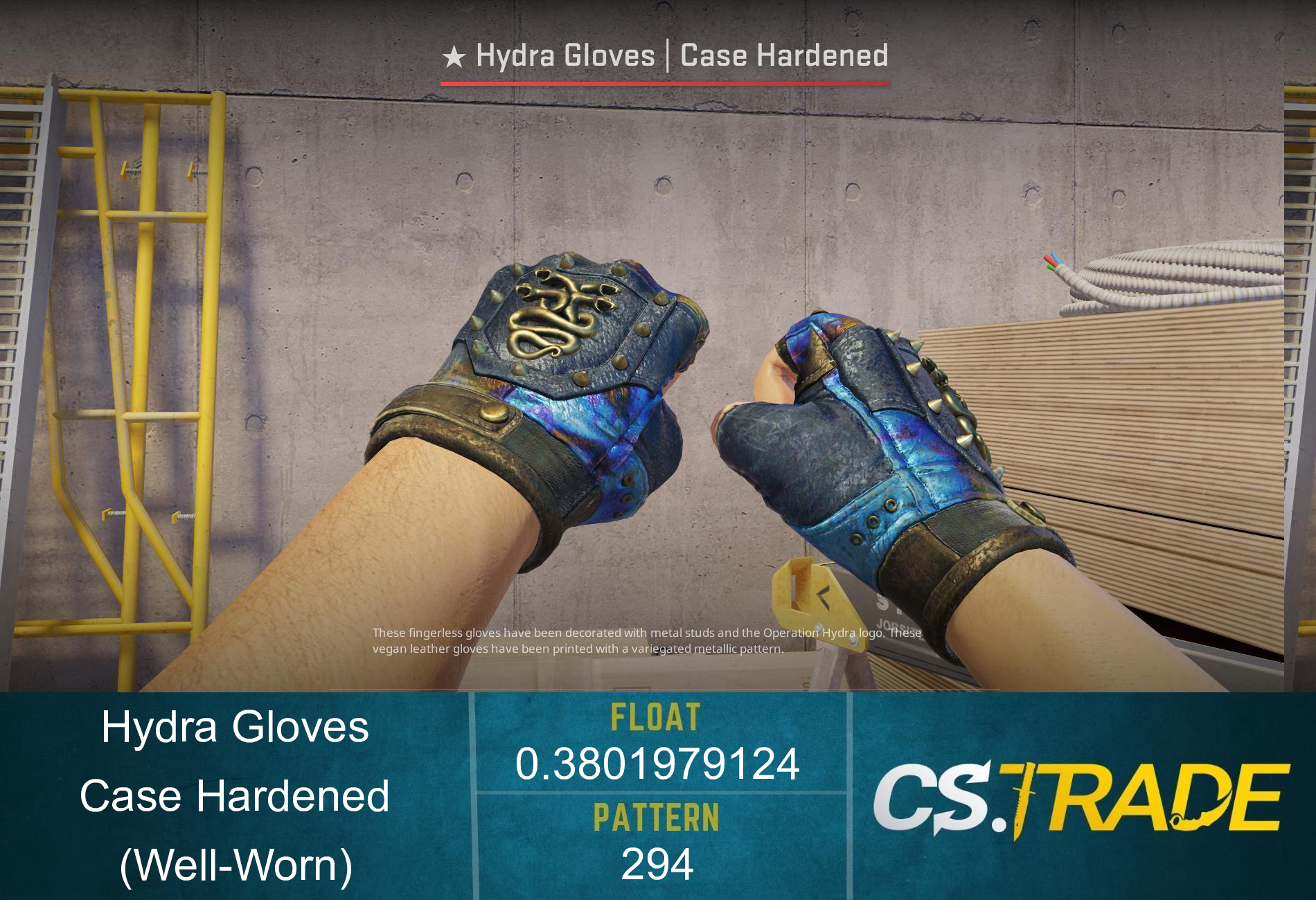 ★ Hydra Gloves | Case Hardened (Well-Worn) Screenshot