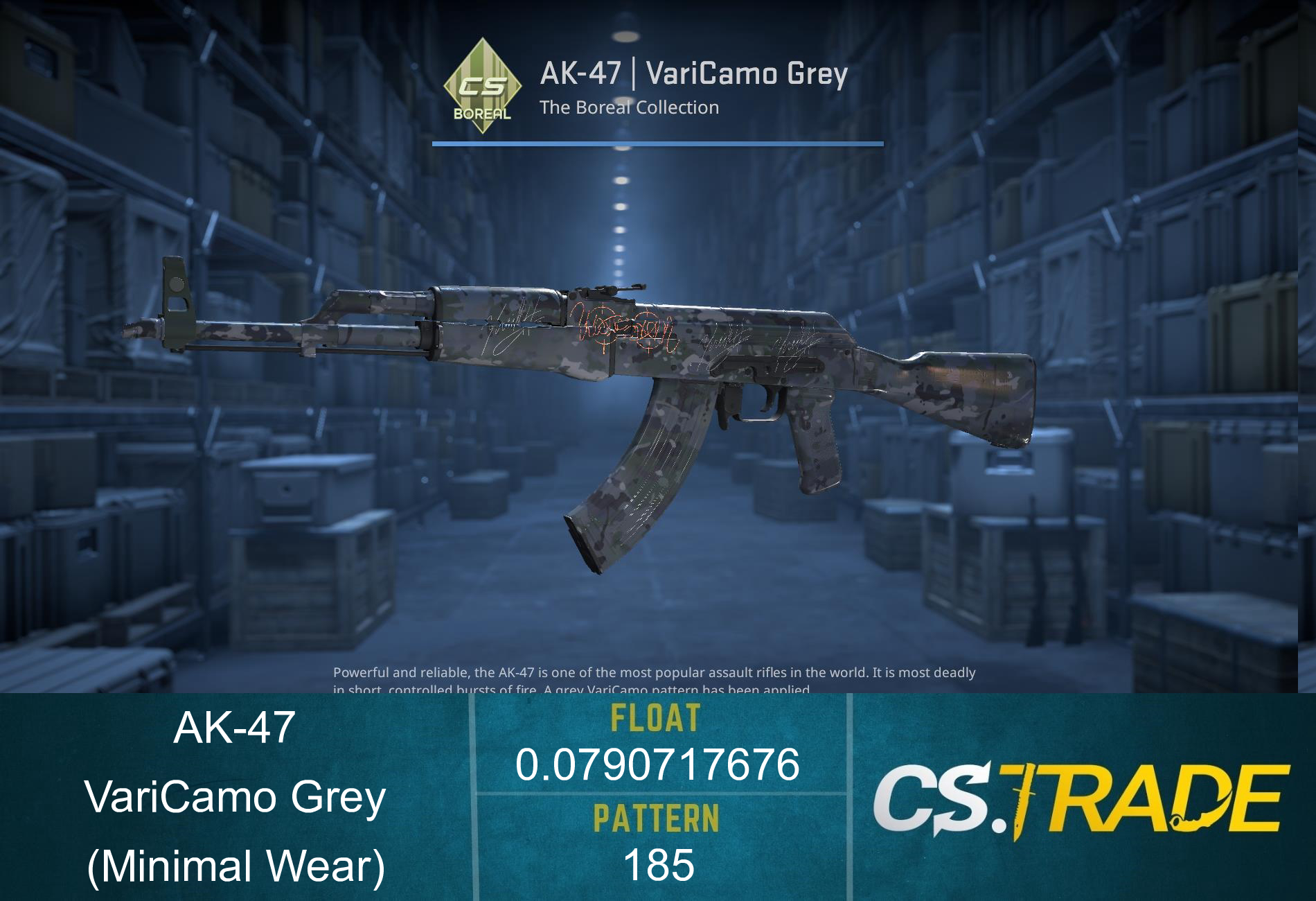 AK-47 | VariCamo Grey (Minimal Wear) Screenshot