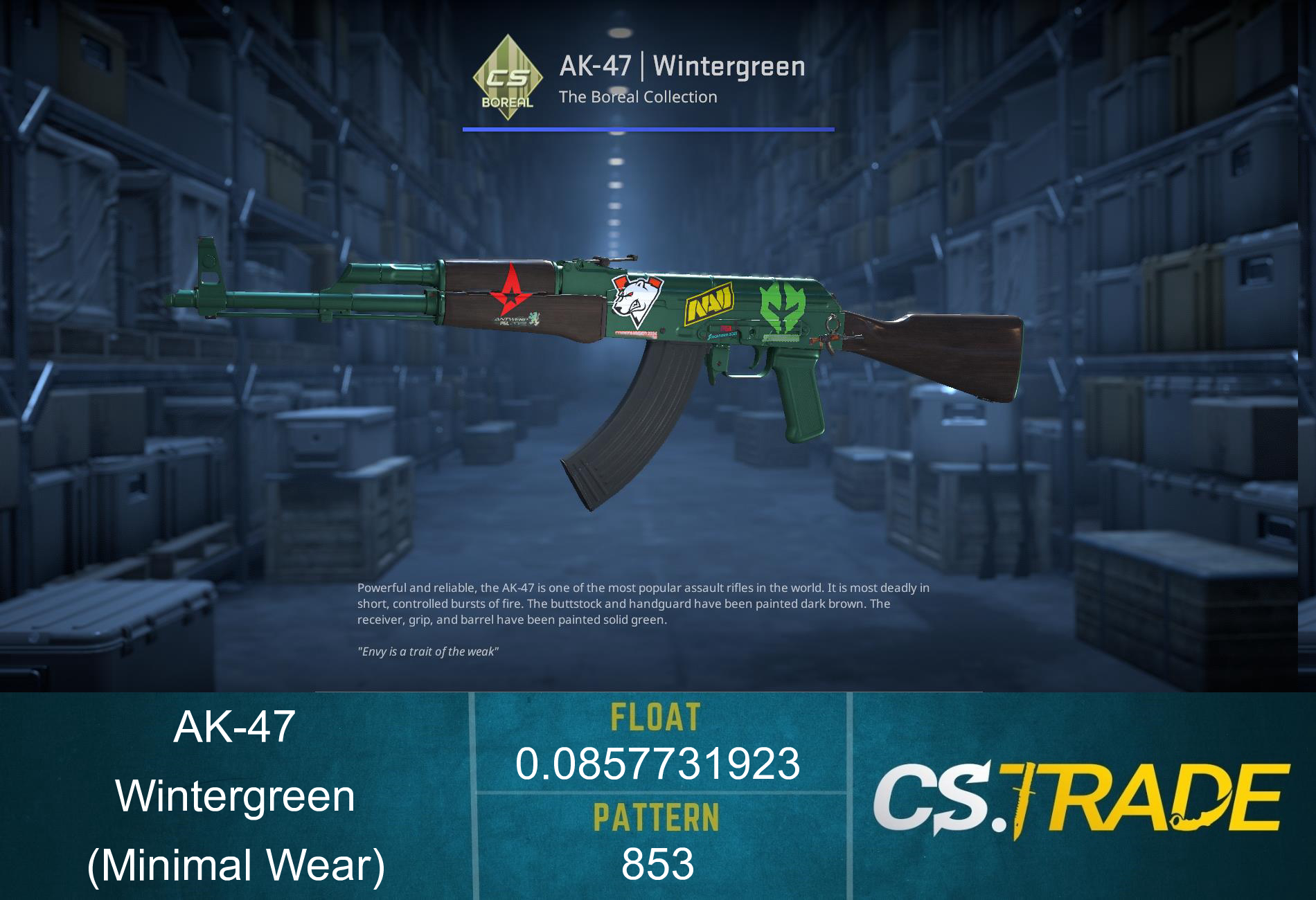 AK-47 | Wintergreen (Minimal Wear) Screenshot