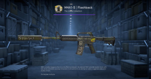 M4A1-S | Flashback (Well-Worn) Screenshot