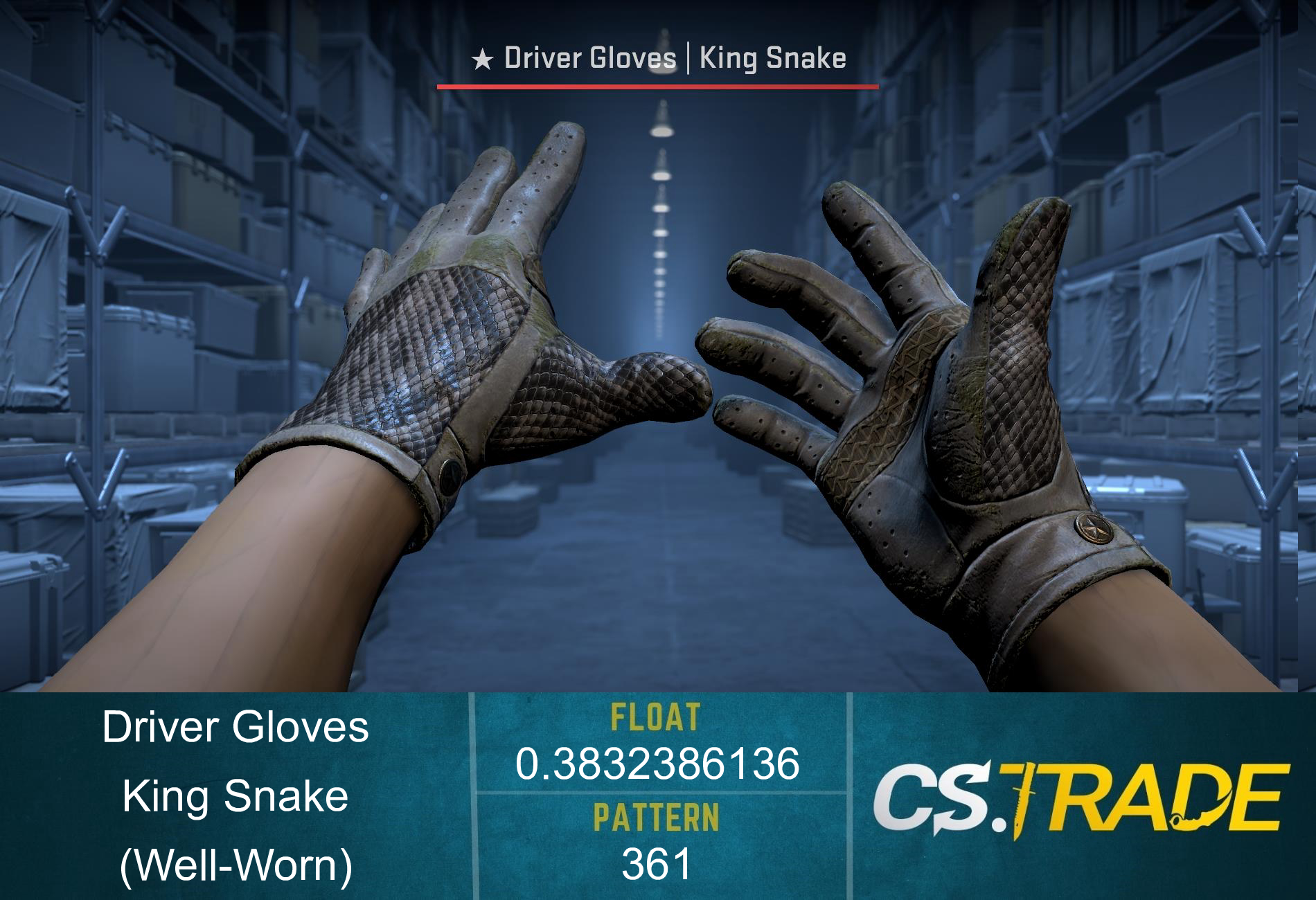 ★ Driver Gloves | King Snake (Well-Worn) Screenshot