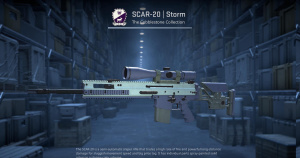 SCAR-20 | Storm (Field-Tested) Screenshot