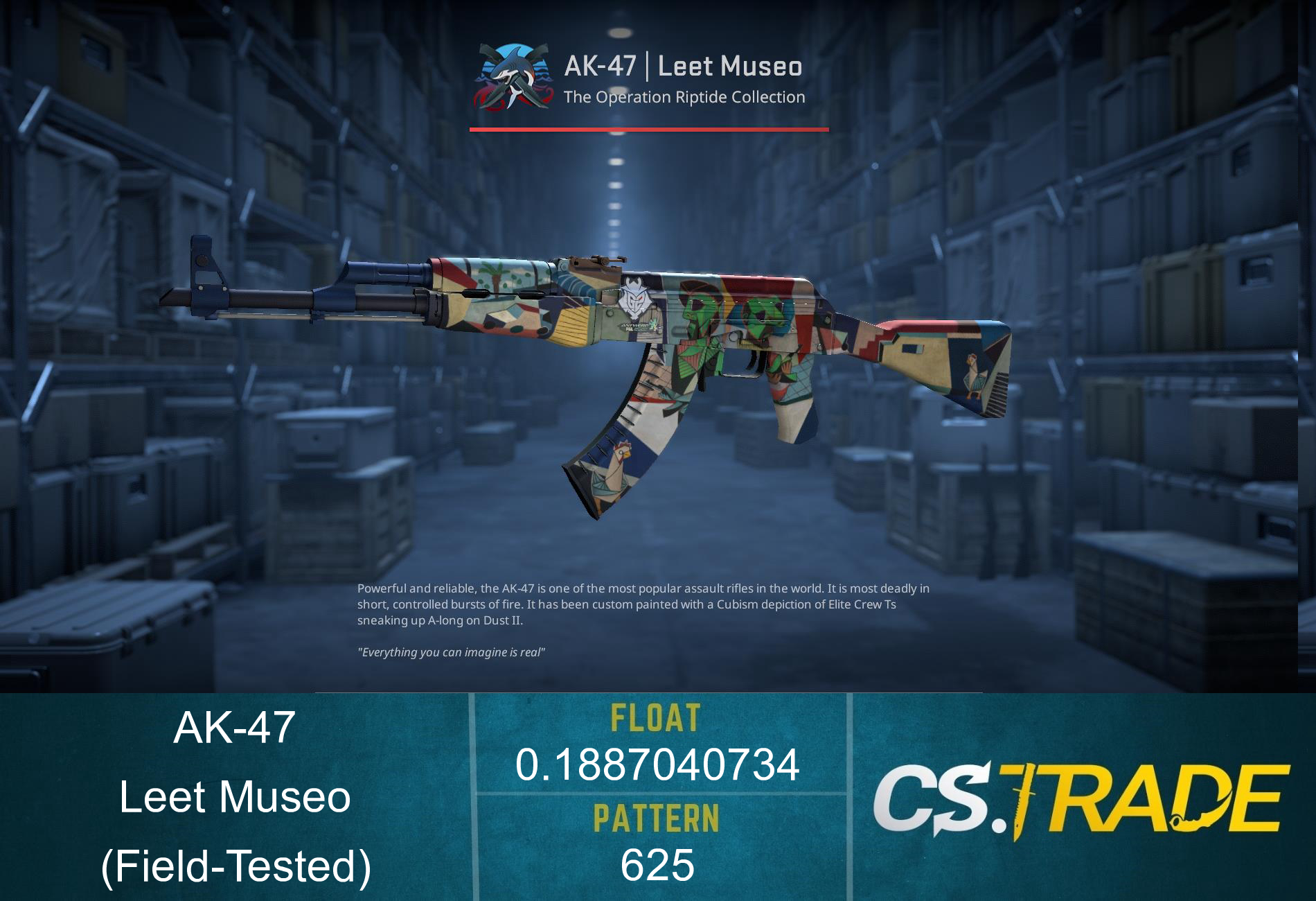 AK-47 | Leet Museo (Field-Tested) Screenshot