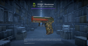 P2000 | Woodsman (Field-Tested) Screenshot
