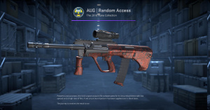 AUG | Random Access (Factory New) Screenshot