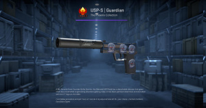 USP-S | Guardian (Factory New) Screenshot
