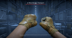 ★ Moto Gloves | Transport (Field-Tested) Screenshot
