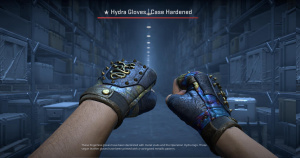 ★ Hydra Gloves | Case Hardened (Well-Worn) Screenshot