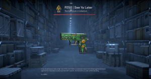 P250 | See Ya Later (Field-Tested) Screenshot