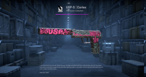 USP-S | Cortex (Minimal Wear) Screenshot