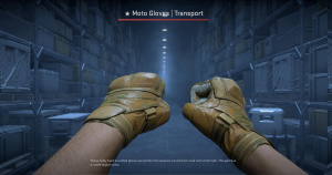 ★ Moto Gloves | Transport (Well-Worn) Screenshot