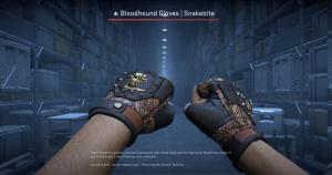 ★ Bloodhound Gloves | Snakebite (Field-Tested) Screenshot