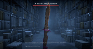 ★ Bowie Knife | Ultraviolet (Battle-Scarred) Screenshot