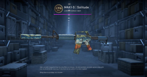 M4A1-S | Solitude (Minimal Wear) Screenshot