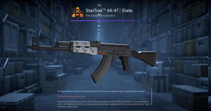 StatTrak™ AK-47 | Slate (Field-Tested) Screenshot