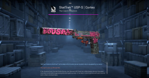 StatTrak™ USP-S | Cortex (Well-Worn) Screenshot