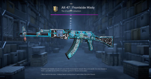 AK-47 | Frontside Misty (Minimal Wear) Screenshot