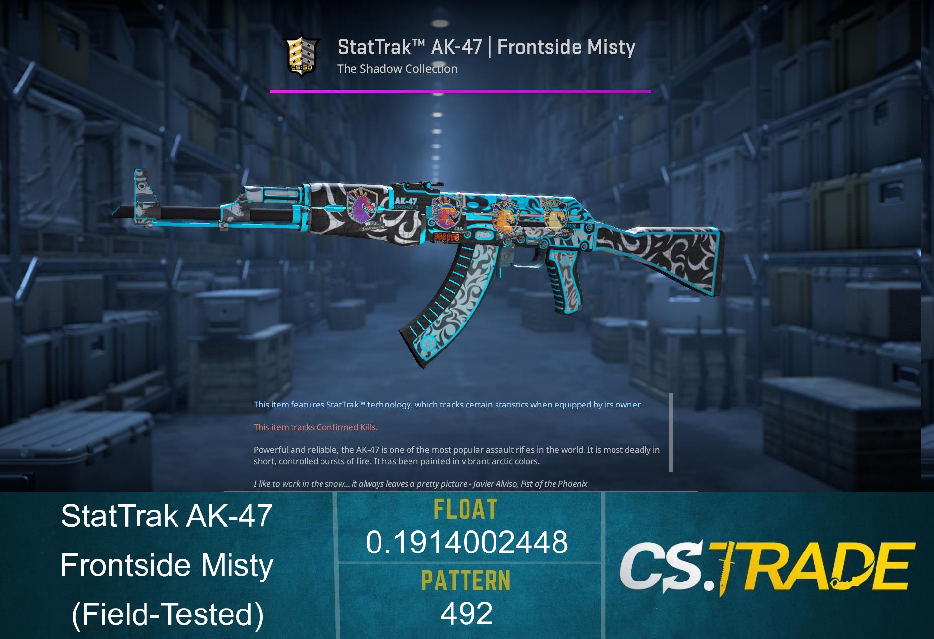 AK-47 | Frontside Misty (Field-Tested) Screenshot