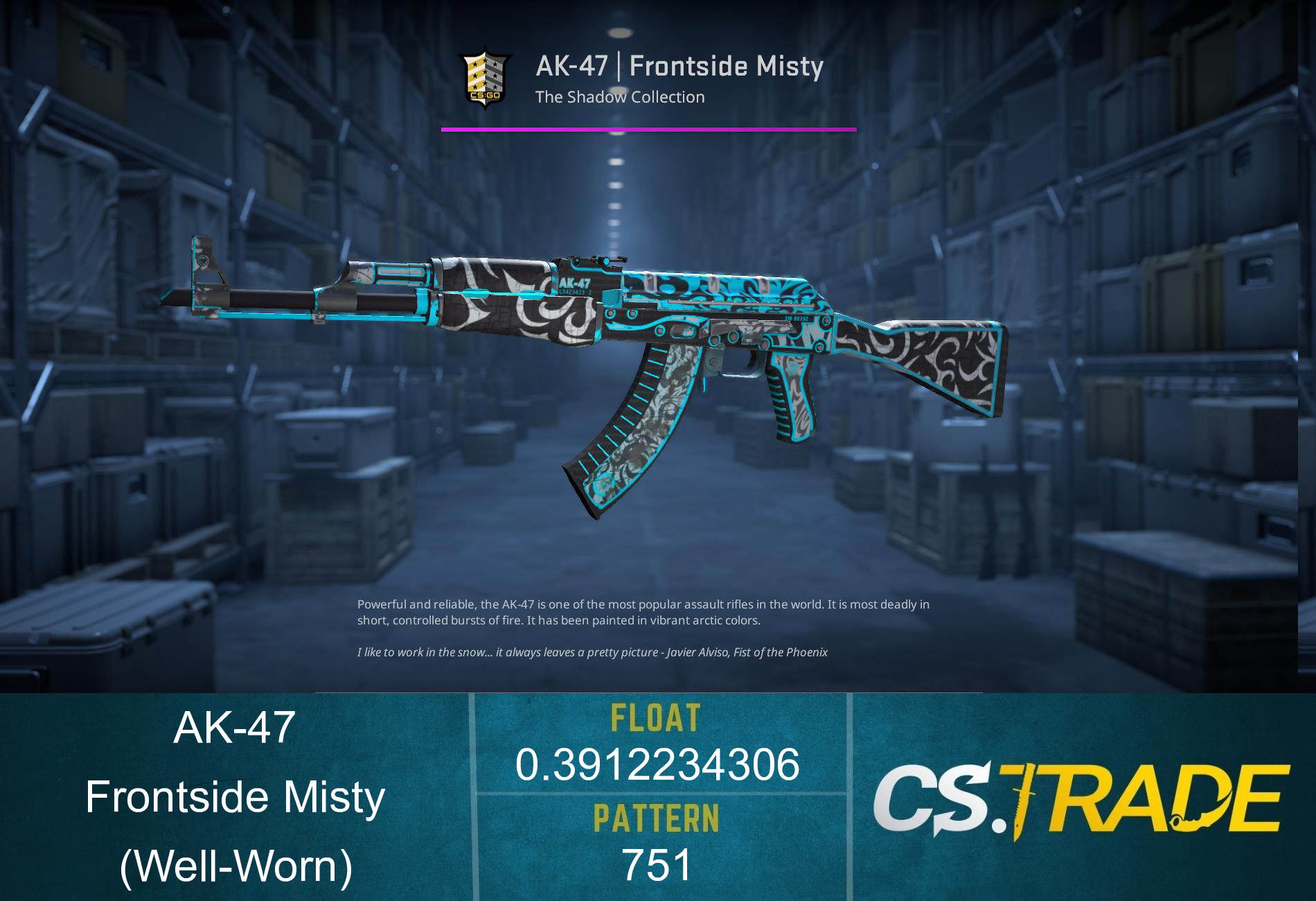AK-47 | Frontside Misty (Well-Worn) Screenshot