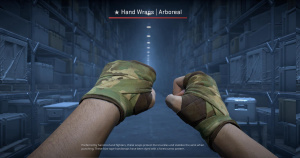 ★ Hand Wraps | Arboreal (Battle-Scarred) Screenshot