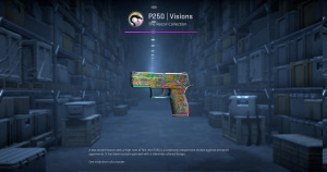 P250 | Visions (Field-Tested) Screenshot