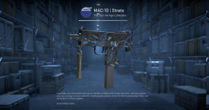 MAC-10 | Strats (Factory New) Screenshot