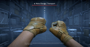 ★ Moto Gloves | Transport (Field-Tested) Screenshot