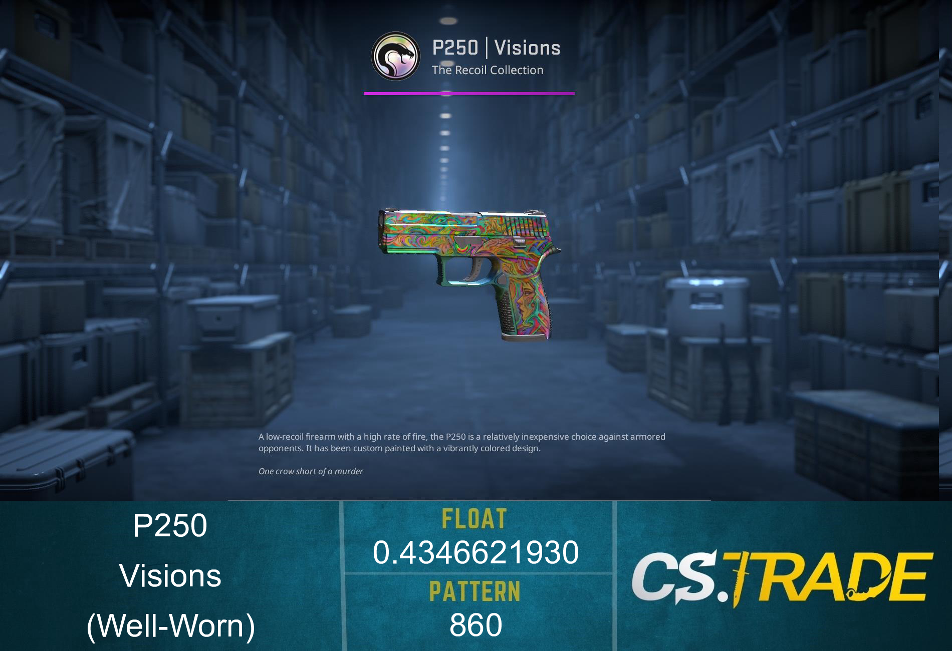 P250 | Visions (Well-Worn)