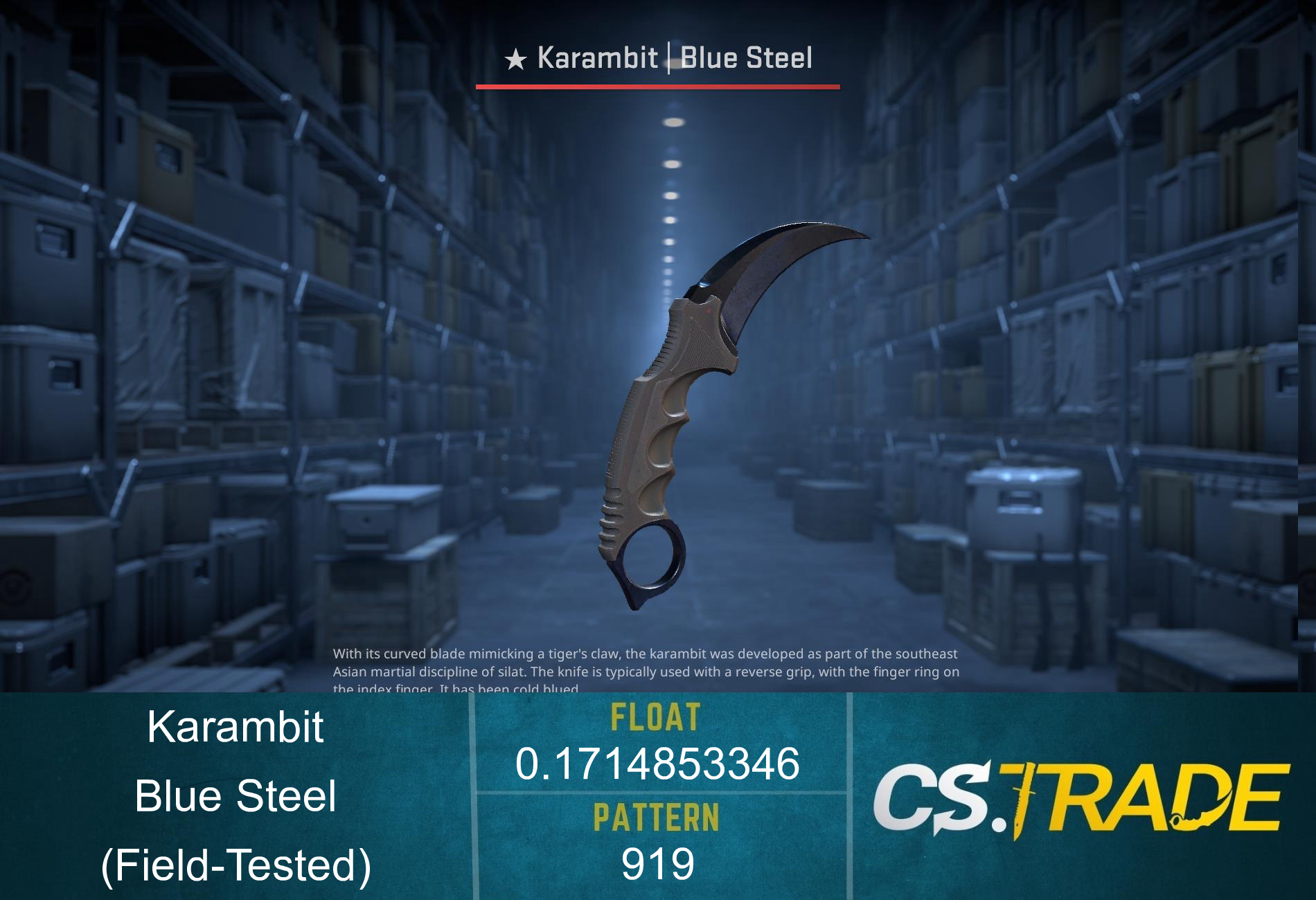★ Karambit | Blue Steel (Field-Tested) Screenshot