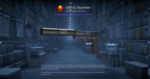 USP-S | Guardian (Factory New) Screenshot