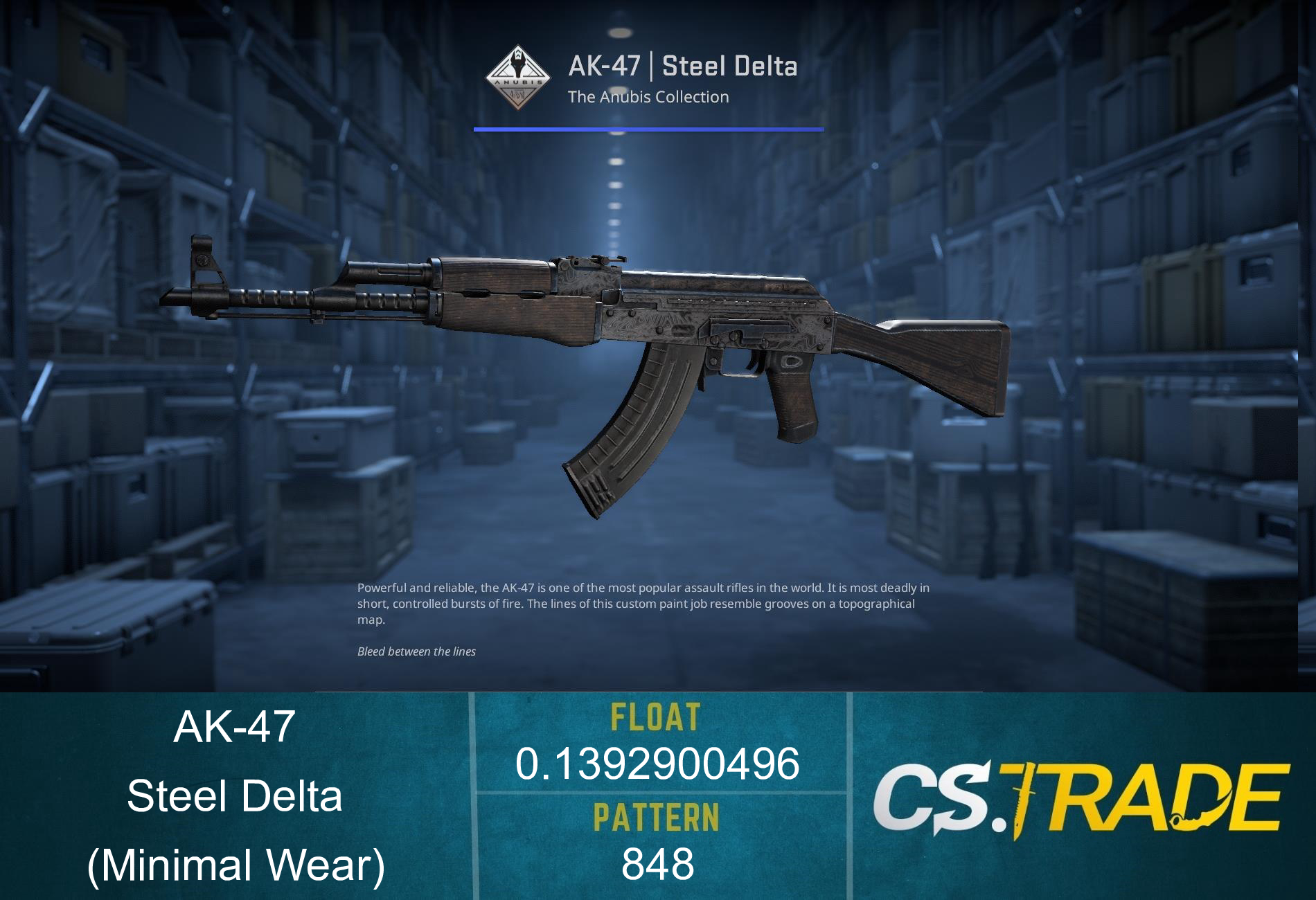 Souvenir AK-47 | Steel Delta (Minimal Wear) Screenshot
