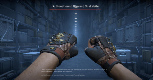 ★ Bloodhound Gloves | Snakebite (Well-Worn) Screenshot