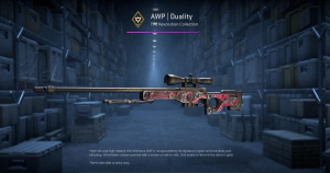 AWP | Duality (Minimal Wear) Screenshot