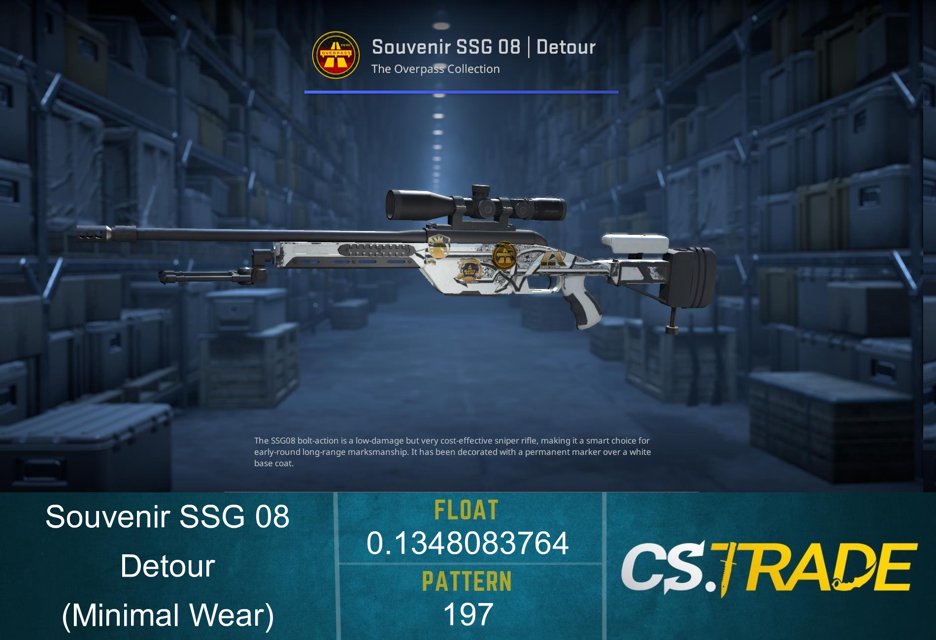 Souvenir SSG 08 | Detour (Well-Worn) Screenshot