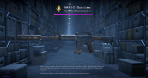M4A1-S | Guardian (Well-Worn) Screenshot