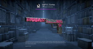 USP-S | Cortex (Minimal Wear) Screenshot