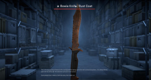 ★ Bowie Knife | Rust Coat (Battle-Scarred) Screenshot