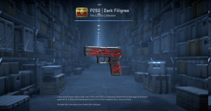 P250 | Dark Filigree (Factory New) Screenshot