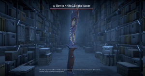 ★ Bowie Knife | Bright Water (Field-Tested) Screenshot