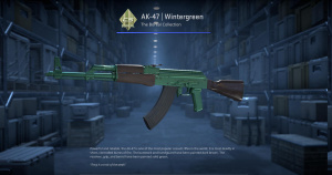 AK-47 | Wintergreen (Factory New) Screenshot